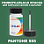 PANTONE 555 C КРАСКА ДЛЯ СКОЛОВ, флакон 50мл с кисточкой