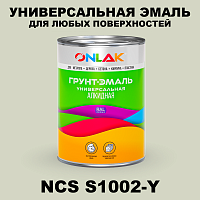 Краска цвет NCS S1002-Y