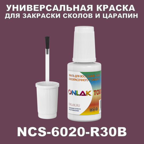 NCS 6020-R30B   ,   