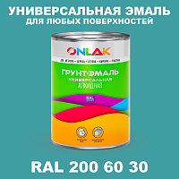 Краска цвет RAL DESIGN 2006030