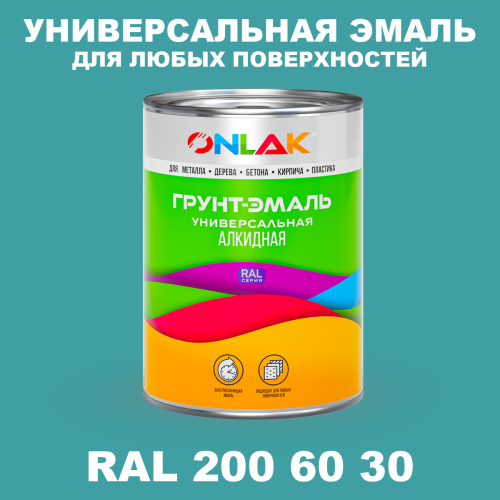 Краска цвет RAL DESIGN 2006030