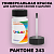 PANTONE 243 C КРАСКА ДЛЯ СКОЛОВ, флакон 50мл с кисточкой
