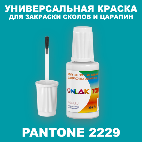 PANTONE 2229 C КРАСКА ДЛЯ СКОЛОВ, флакон с кисточкой
