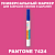 PANTONE 7424 C МАРКЕР С МАТОВОЙ КРАСКОЙ