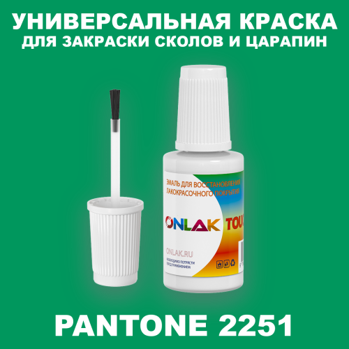 PANTONE 2251 C КРАСКА ДЛЯ СКОЛОВ, флакон с кисточкой