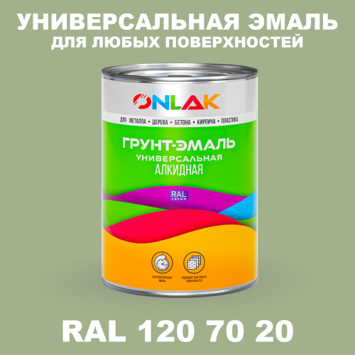 Краска цвет RAL DESIGN 1207020