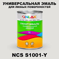 Краска цвет NCS S1001-Y
