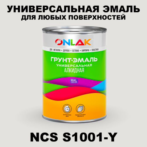 Краска цвет NCS S1001-Y