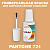 PANTONE 721 C КРАСКА ДЛЯ СКОЛОВ, матовая, флакон 20мл с кисточкой