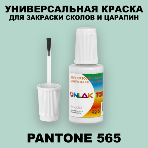 PANTONE 565 C КРАСКА ДЛЯ СКОЛОВ, флакон с кисточкой