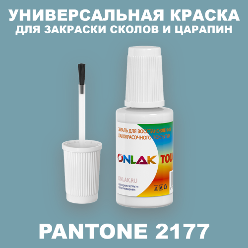 PANTONE 2177 C КРАСКА ДЛЯ СКОЛОВ, флакон с кисточкой