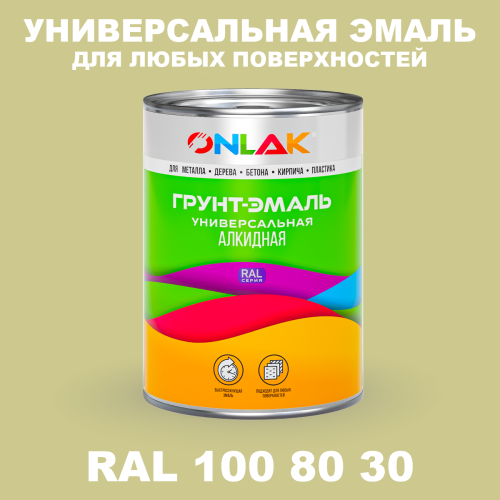 Краска цвет RAL DESIGN 1008030