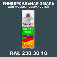 Аэрозольная краска, цвет RAL Design 2303010, спрей 520мл