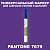 PANTONE 7679 C МАРКЕР С КРАСКОЙ
