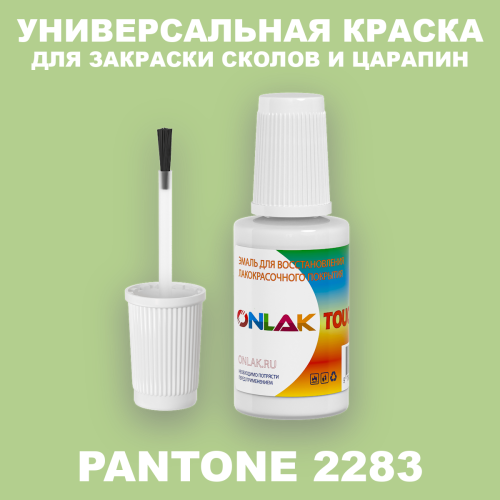 PANTONE 2283 C КРАСКА ДЛЯ СКОЛОВ, флакон с кисточкой