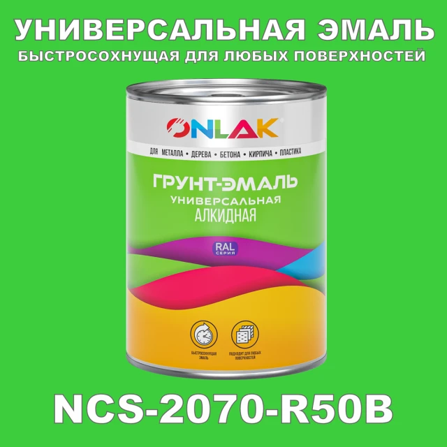 Краска цвет NCS 2070-R50B ONLAK.RU - Лакокрасочные технологии