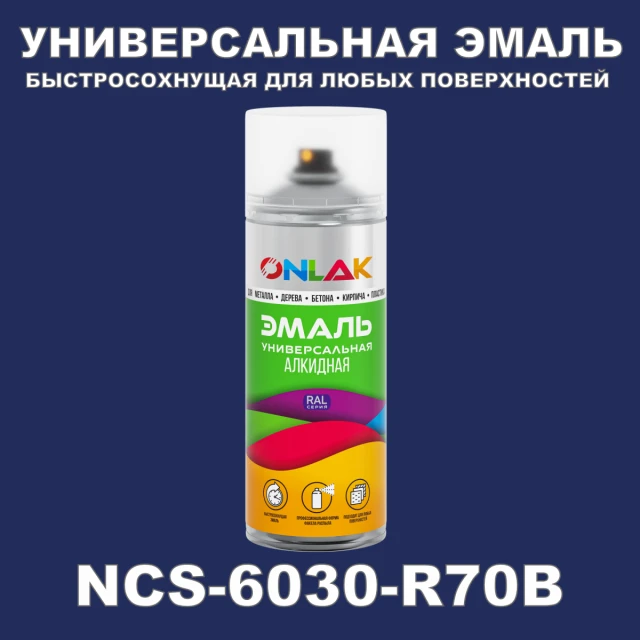 Аэрозольная краска ONLAK, цвет NCS 6030-R70B, спрей 520мл ONLAK.RU - Лакокрасочные технологии