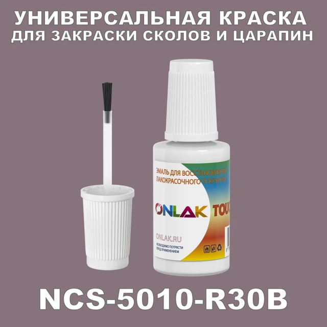 NCS 5010-R30B КРАСКА ДЛЯ СКОЛОВ, флакон с кисточкой ONLAK.RU - Лакокрасочные технологии