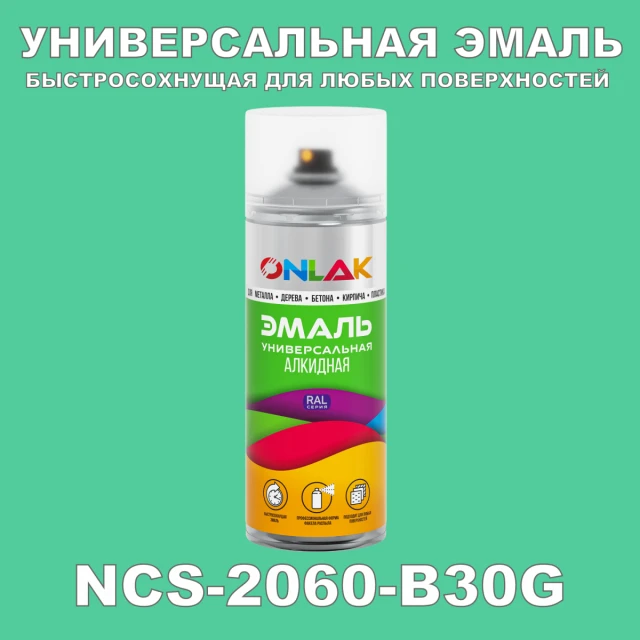 Аэрозольная краска ONLAK, цвет NCS 2060-B30G, спрей 520мл ONLAK.RU - Лакокрасочные технологии