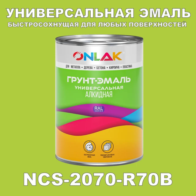 Краска цвет NCS 2070-R70B ONLAK.RU - Лакокрасочные технологии