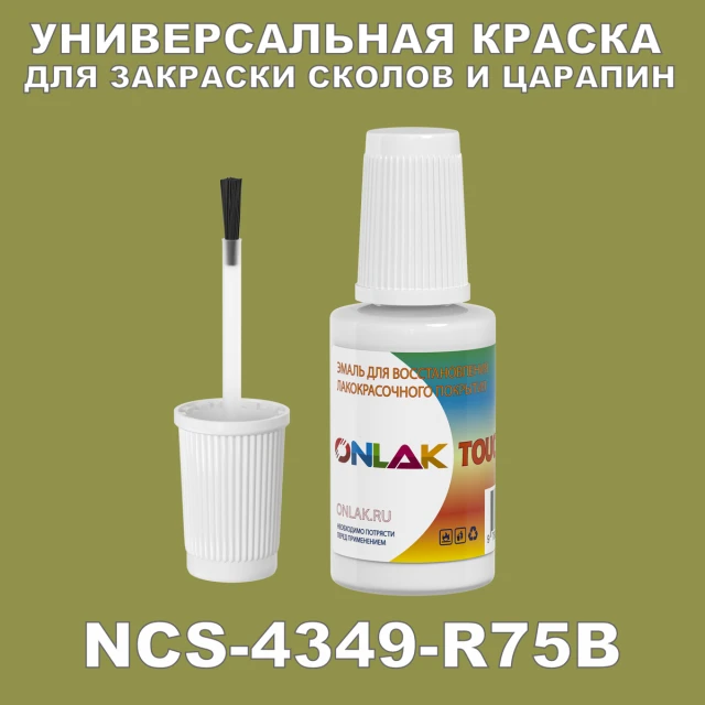 NCS 4349-R75B КРАСКА ДЛЯ СКОЛОВ, флакон с кисточкой ONLAK.RU - Лакокрасочные технологии