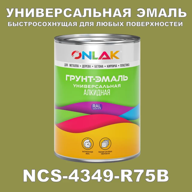 Краска цвет NCS 4349-R75B ONLAK.RU - Лакокрасочные технологии
