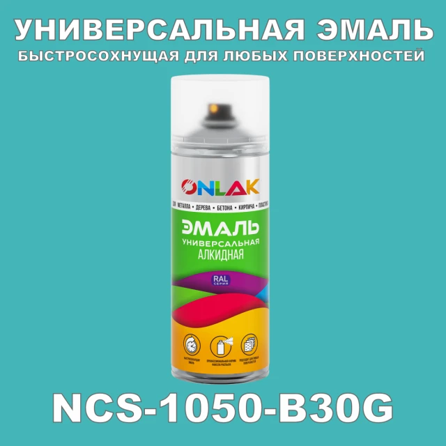 Аэрозольная краска ONLAK, цвет NCS 1050-B30G, спрей 520мл ONLAK.RU - Лакокрасочные технологии