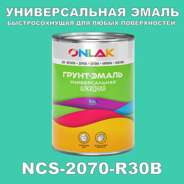 Краска цвет NCS 2070-R30B ONLAK.RU - Лакокрасочные технологии