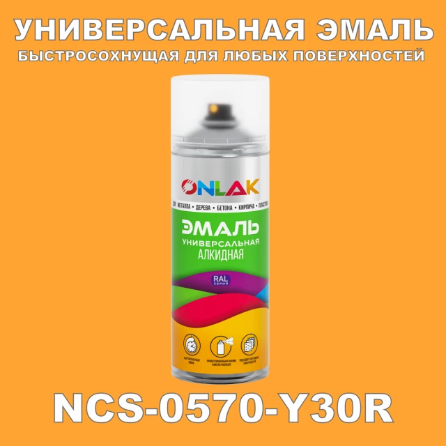 Аэрозольная краска ONLAK, цвет NCS 0570-Y30R, спрей 520мл ONLAK.RU - Лакокрасочные технологии