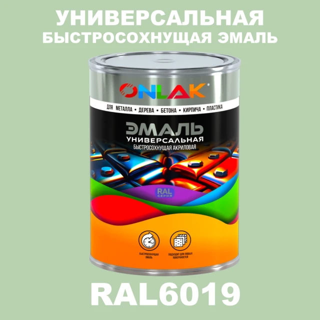 Универсальная быстросохнущая эмаль ONLAK, цвет RAL6019, в комплекте с растворителем ONLAK.RU - Лакокрасочные технологии