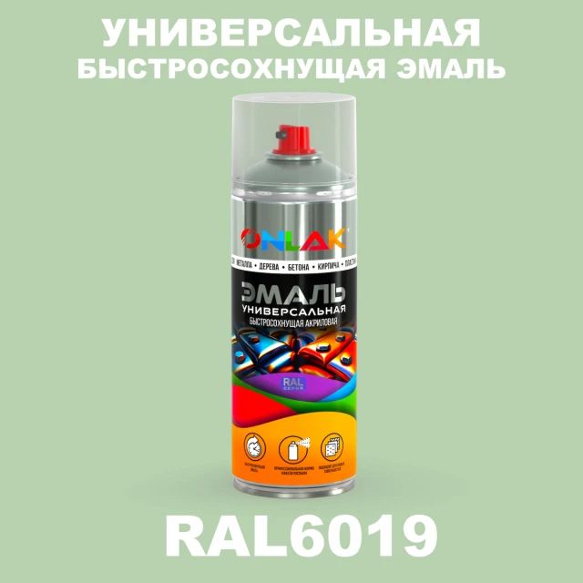 Универсальная быстросохнущая эмаль ONLAK, цвет RAL6019, спрей 520мл ONLAK.RU - Лакокрасочные технологии