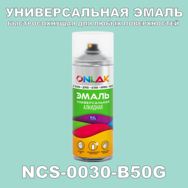 Аэрозольная краска ONLAK, цвет NCS 0030-B50G, спрей 520мл ONLAK.RU - Лакокрасочные технологии