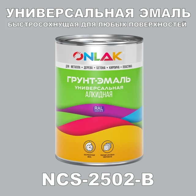 Краска цвет NCS 2502-B ONLAK.RU - Лакокрасочные технологии