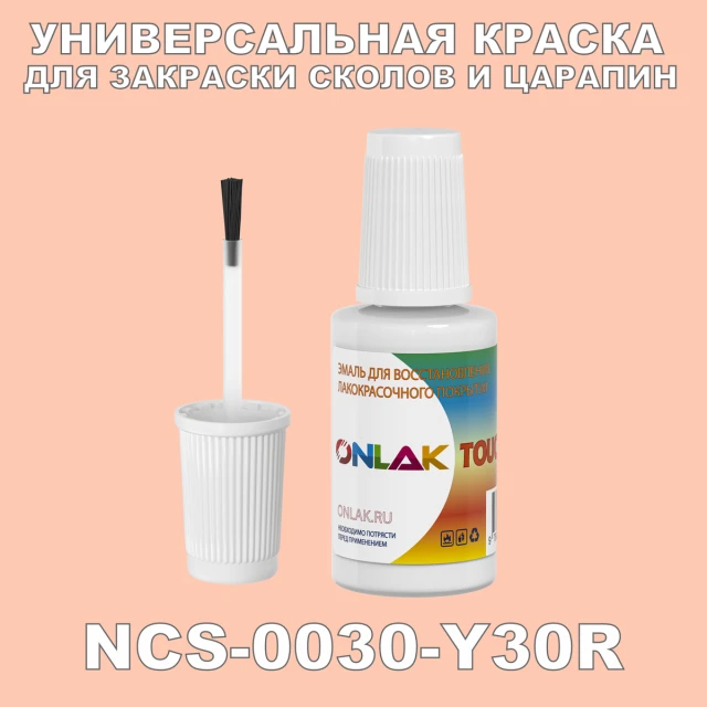 NCS 0030-Y30R КРАСКА ДЛЯ СКОЛОВ, флакон с кисточкой ONLAK.RU - Лакокрасочные технологии