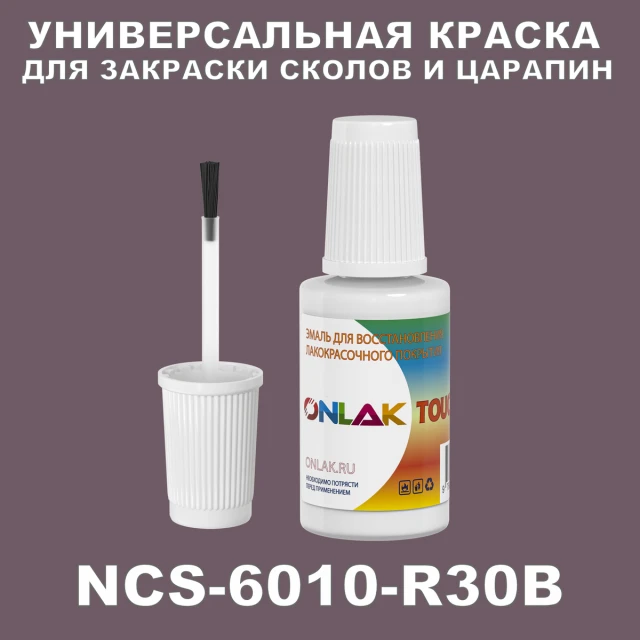NCS 6010-R30B КРАСКА ДЛЯ СКОЛОВ, флакон с кисточкой ONLAK.RU - Лакокрасочные технологии