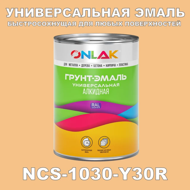 Краска цвет NCS 1030-Y30R ONLAK.RU - Лакокрасочные технологии